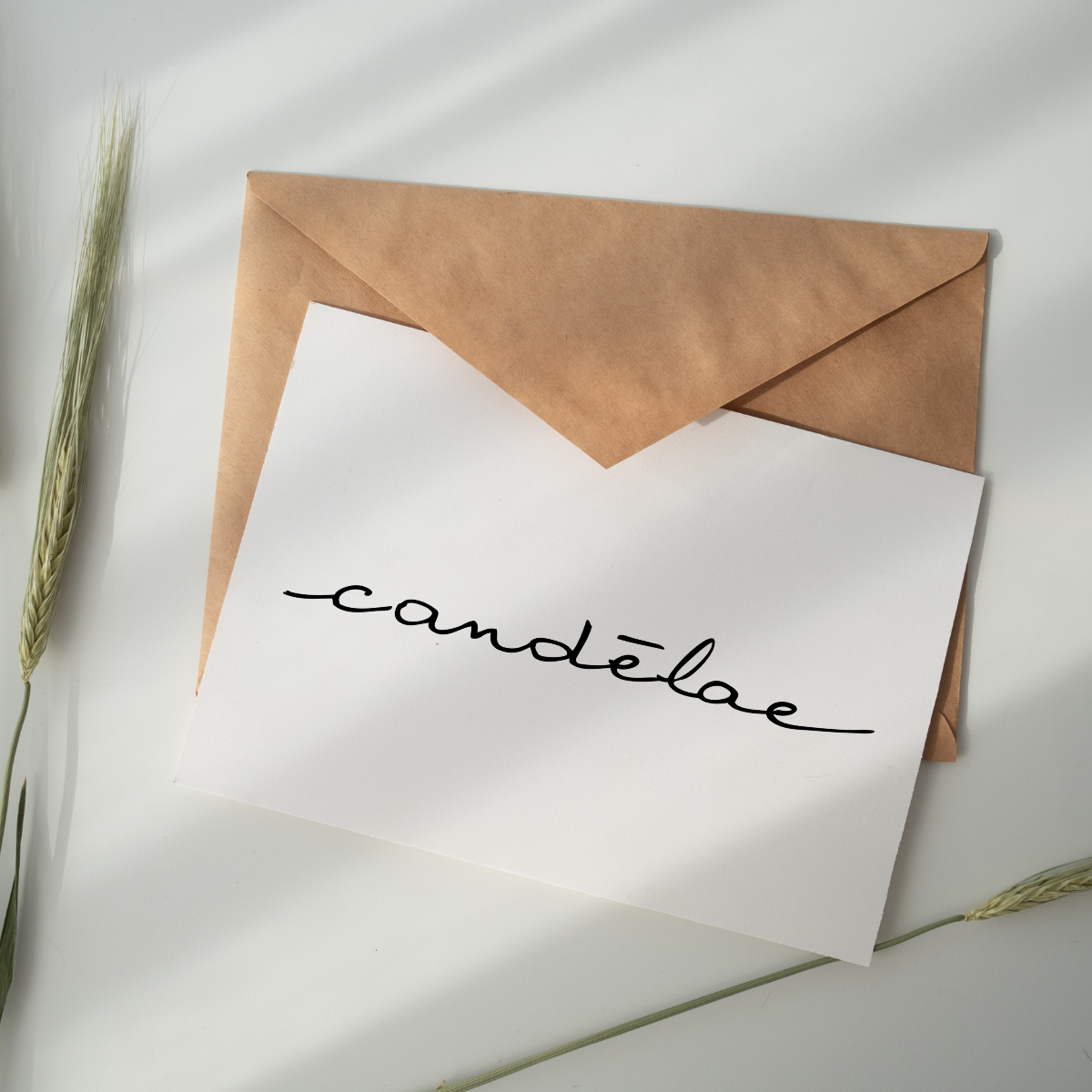 The gift card is illustrated by having a white rectangle paper displaying the logo of candēlae on top of a brown envelop 
