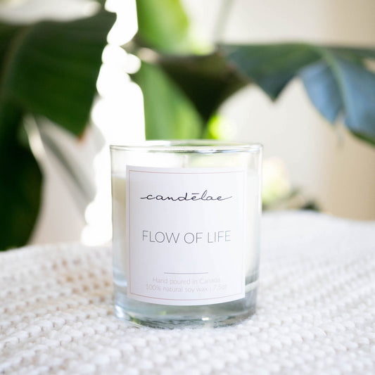 Flow of Life candle from candelae is displayed on a couch with plants in the background
