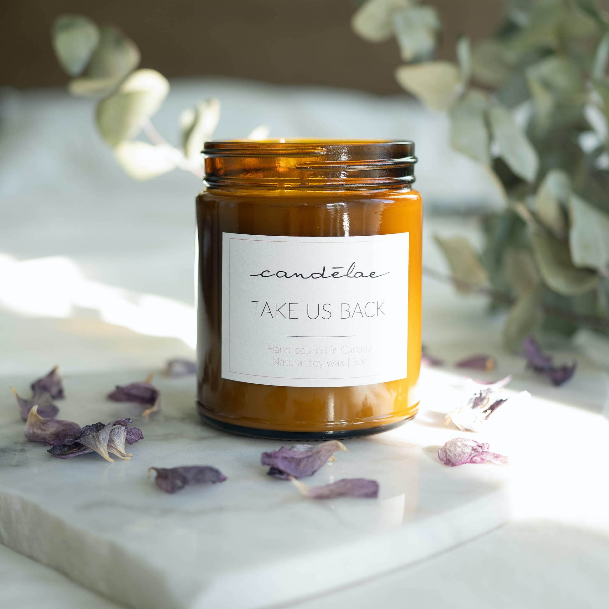 The soy wax candle by candēlae with notes of Bergamot and Frankincense is set around rose petals